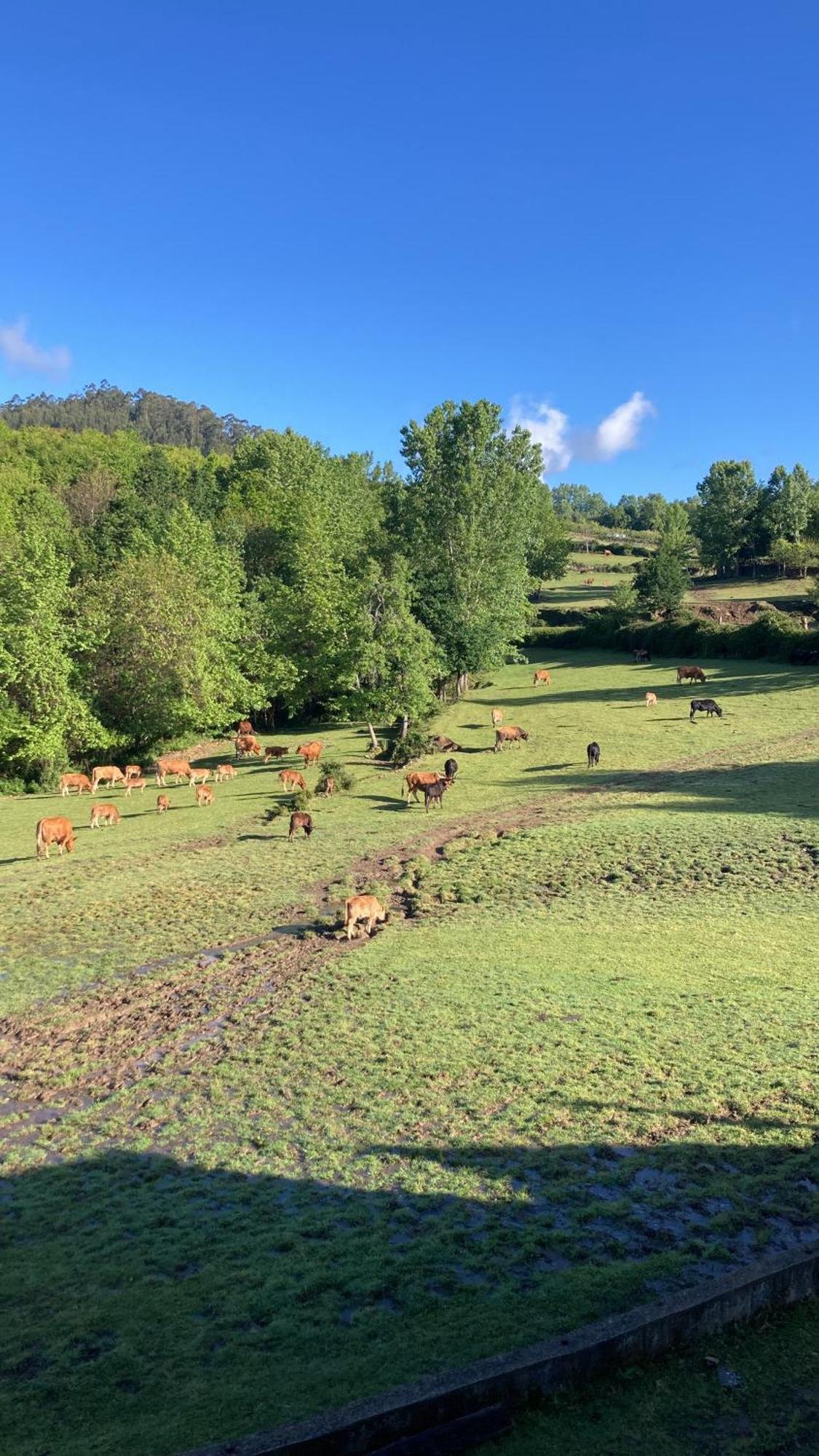 Quinta de Bouças Cabeceiras de Basto Exterior foto